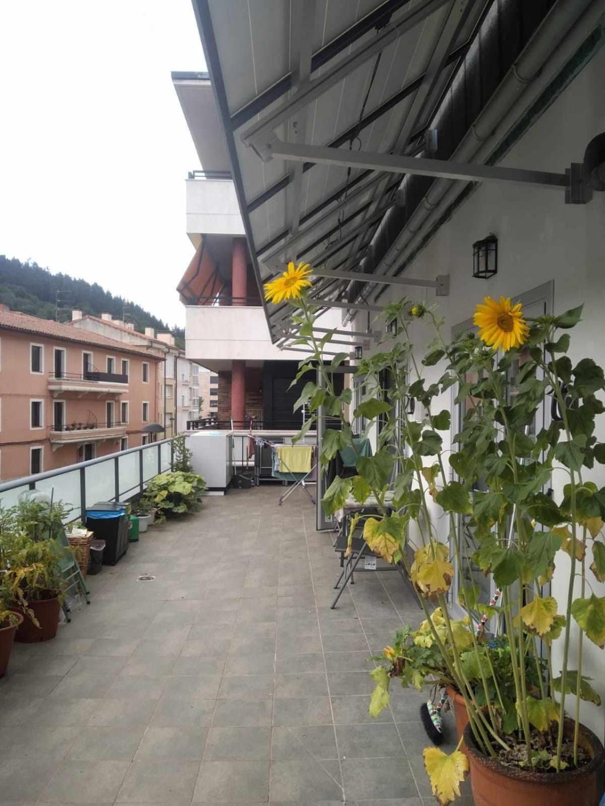 Aldabea II Apartamento Sostenible Legazpia Екстер'єр фото